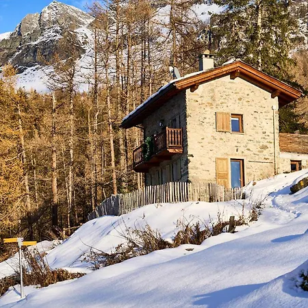 D'alpage Larose 木屋